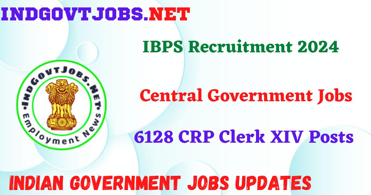 IBPS Recruitment 2024 - 6128 CRP Clerk XIV Posts IndGovtjobs